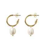 Quiet Luxury Gold Hoop Pearl Earrings