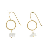 Quiet Luxury Gold Hoop Crystal Drop Earrings